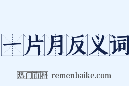 一片月反义词是什么意思的图片